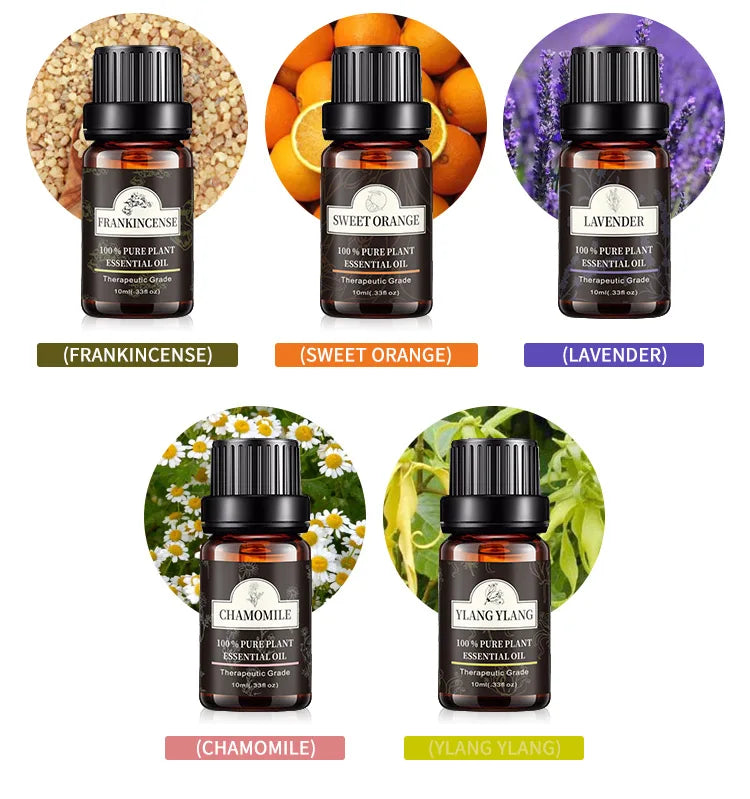 Lavender Oil