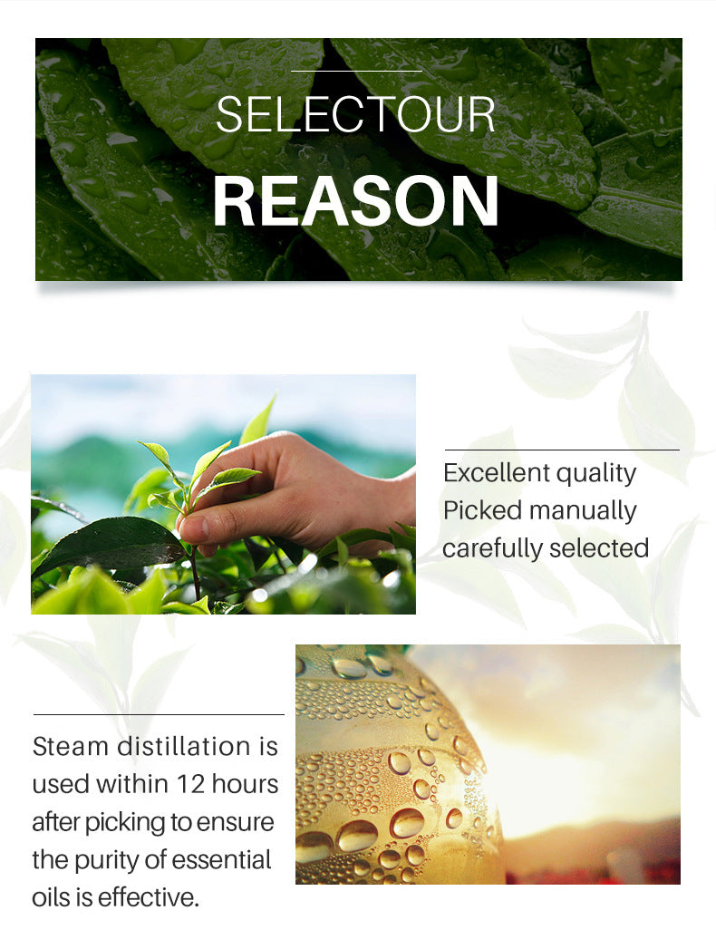 Organic Tea Tree Oil
