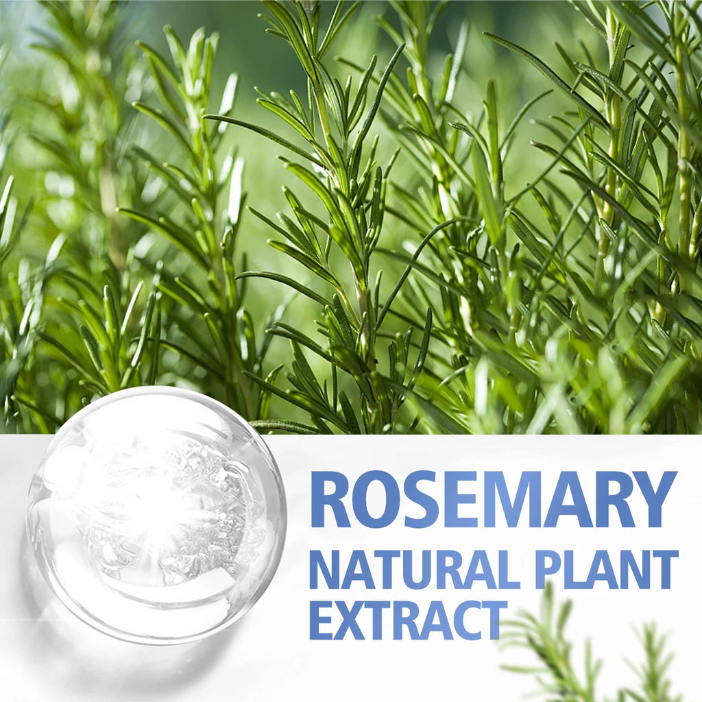 Rosemary Essential Oil