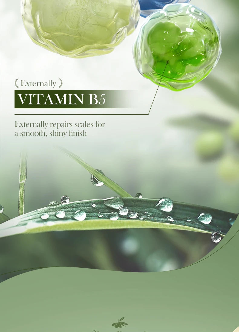 Olive Oil Collagen Hair Mask "1/2Bags"