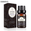 Lavender Oil
