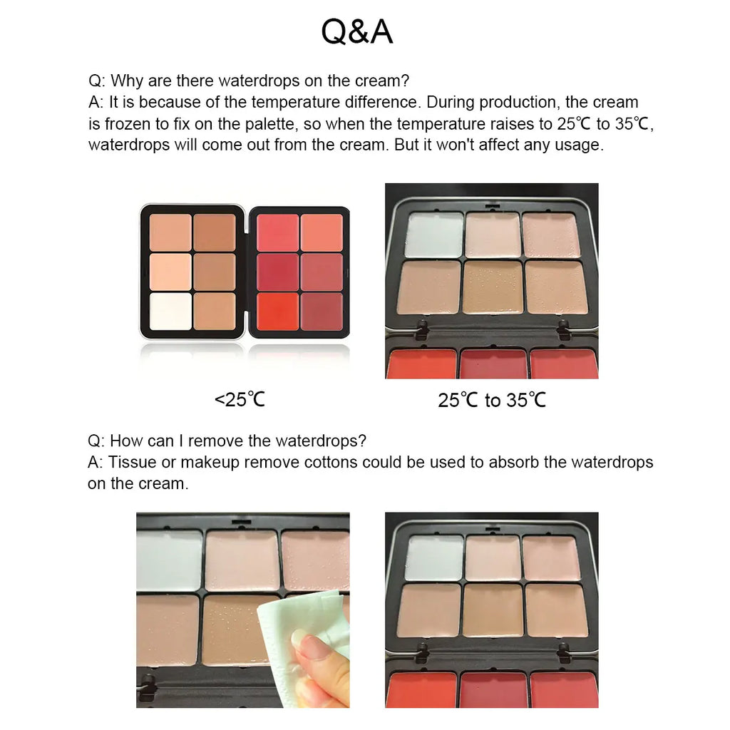 12 Color concealer Matte Palette