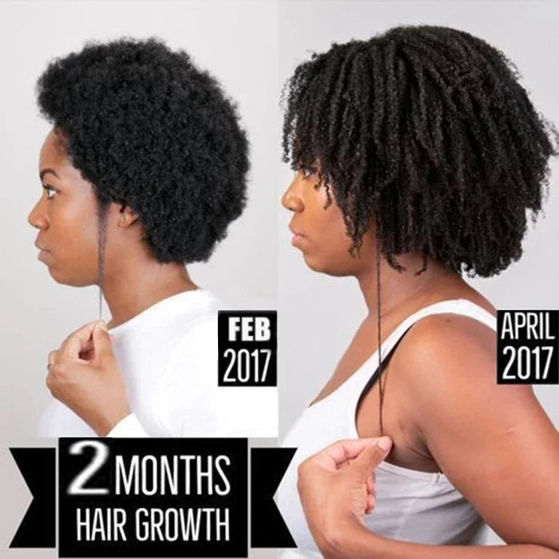 Chebe Fast Hair Growth Shampoo